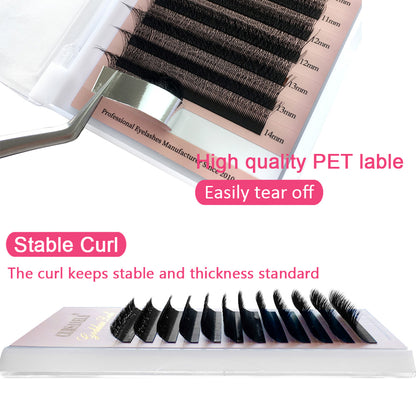 W Pre-Made Eyelashes CURSAVELA 3D-8D W Shape Lashes. Premium 4D Premade Fan Extensions, 0.07 C/D Curl. Soft and Natural.